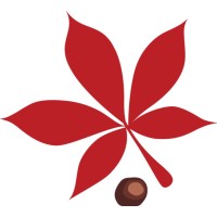 Buckeye Ventures Logo