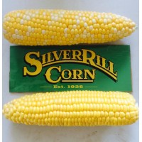Silver Rill Corn Logo