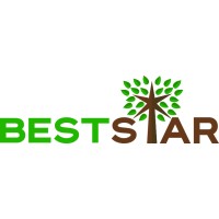 BestStar Holding Logo