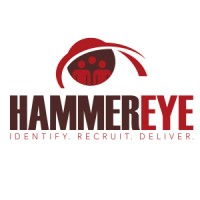 HAMMEREYE Logo