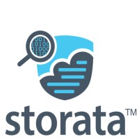 Storata Business Solutions Logo