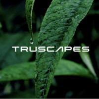 Truscapes Pty Ltd Logo
