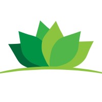 Dataflow Technologies Logo