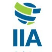 IIA Young Professionals Belgium Logo
