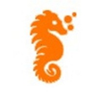 Hippocampus Infotech Pvt. Ltd. Logo
