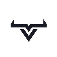Coding Bull - Web Design Agency Logo