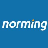Norming Software Logo