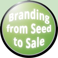 1st Straw Cannabis Marketing Logo