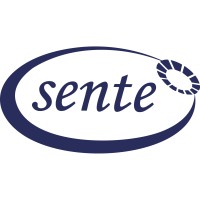 Sente Makina Logo