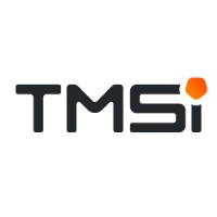 TMSi - Twente Medical Systems International Logo