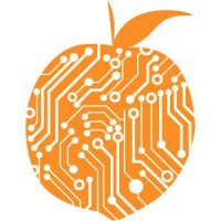 Peach IntelliHealth Logo