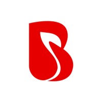 BrainMobi Logo
