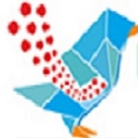 Logical Wings Infoweb Private Limited | Enterprise Software Development Logo