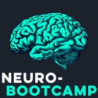 Neuro-Bootcamp Logo