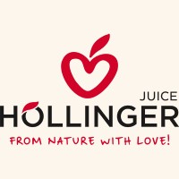 IMS Hollinger GmbH Logo