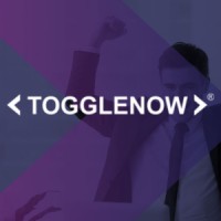 ToggleNow Software Solutions Pvt Ltd Logo