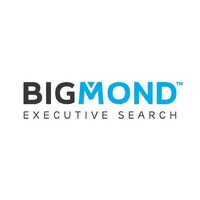 BIGMOND EXECUTIVE SEARCH Logo