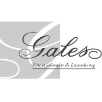 Caves Gales Logo