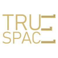 TrueSpace Leasing Solutions Pvt. Ltd Logo