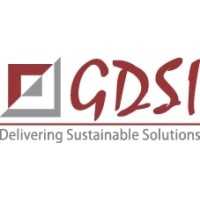 GDSI Limited Logo