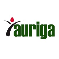 Auriga Nusantara Logo