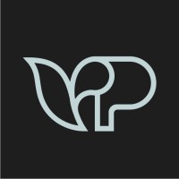 VISION PERSPECTIVE Logo