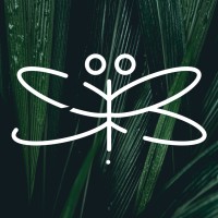 Rio Designs, DBA Logo