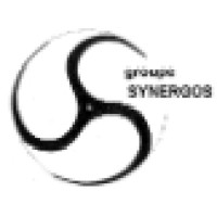 Groupe Synergos Inc. Logo