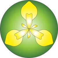 IrisBG Logo