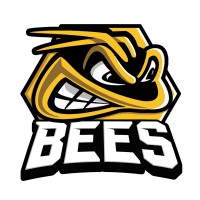 TSI WORLD BEES ICE HOCKEY CLUB Logo