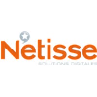 Netisse Logo