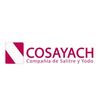 Cosayach Logo