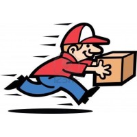 Impeccable Courier & Freight Forwader Logo