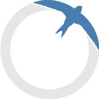 Blue Swift Consulting Logo