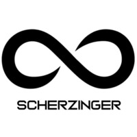 Scherzinger Consulting GmbH Logo