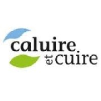 Ville de Caluire et Cuire Logo