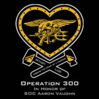 Operation 300 Logo