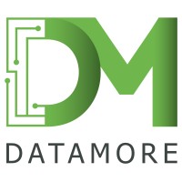 DataMore Logo