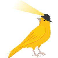 BirdieLight Logo