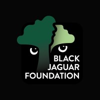 Black Jaguar Foundation Logo