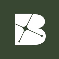 Belingbak Logo