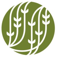 Palais Des Thés Réunion Logo