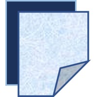 Candor Asia Advisors Logo