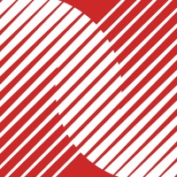 Digital Twins Capital Logo