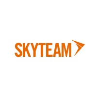 SkyTeam Consolidadora Logo