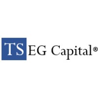 TSEG Capital Partners Logo