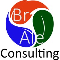 Brale Consulting Logo
