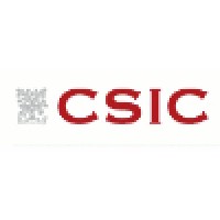 Instituto Nacional del Carbón - CSIC Logo