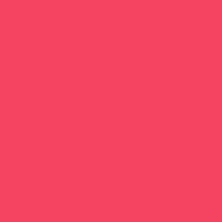 Playne Design Logo