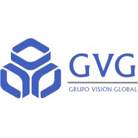 Grupo Visión Global, S.C. Logo